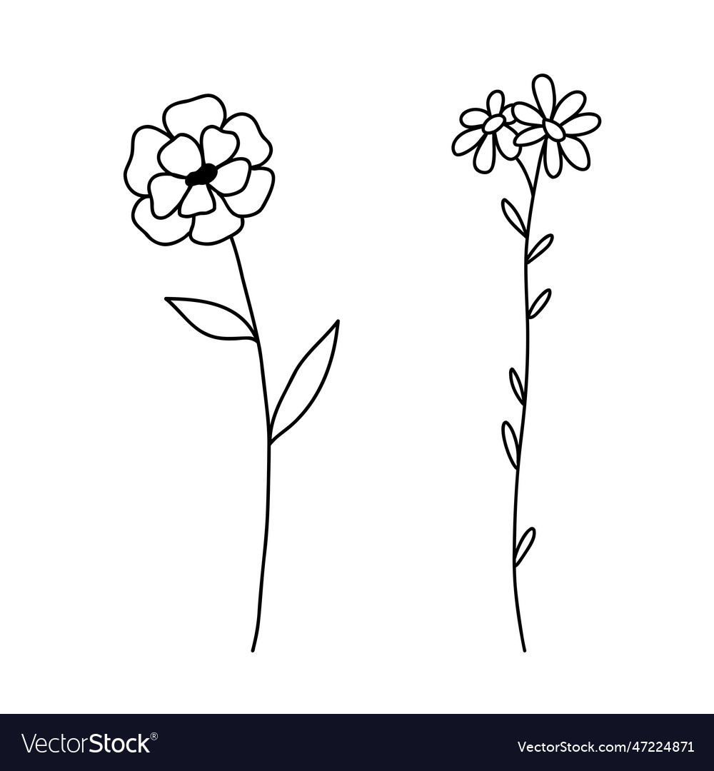 Hand drawn wildflowers set outline flower Vector Image