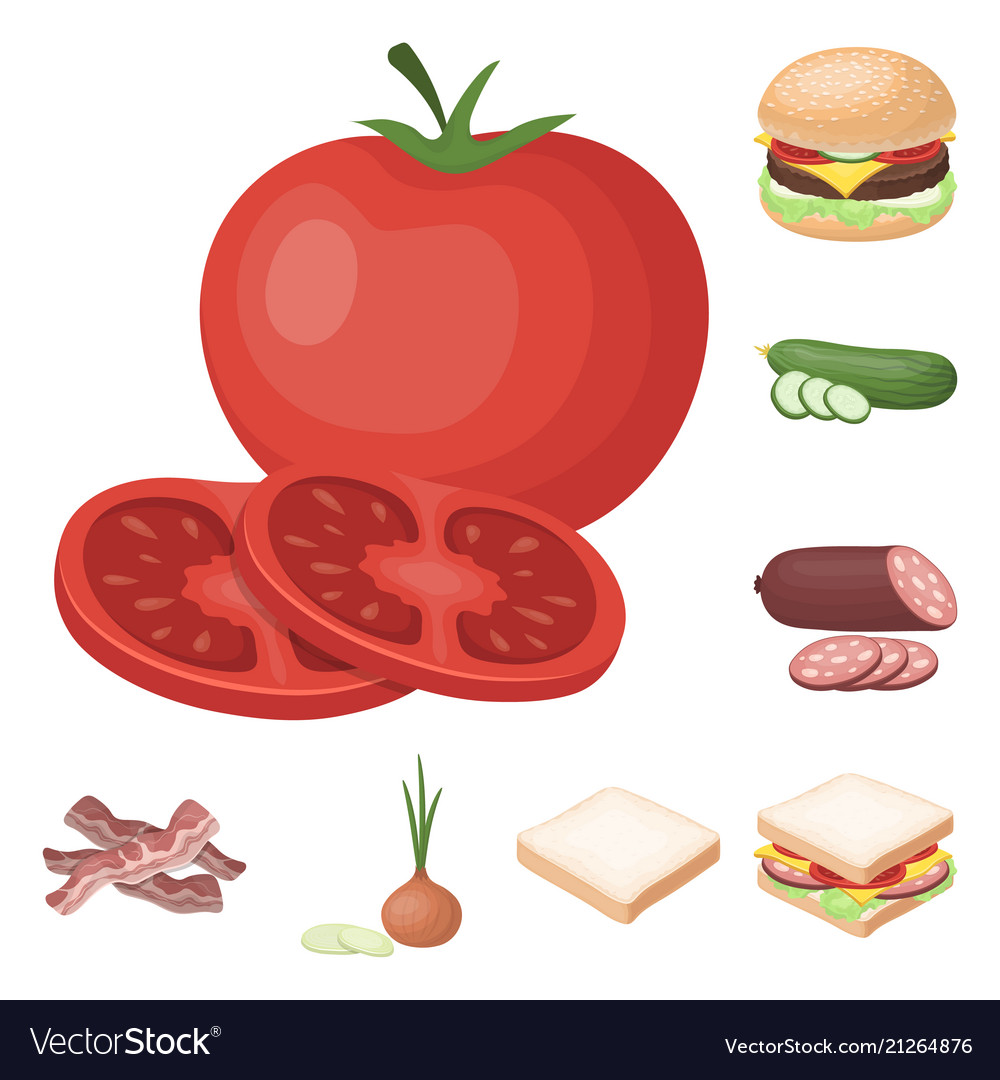 Burger and ingredients cartoon icons in set