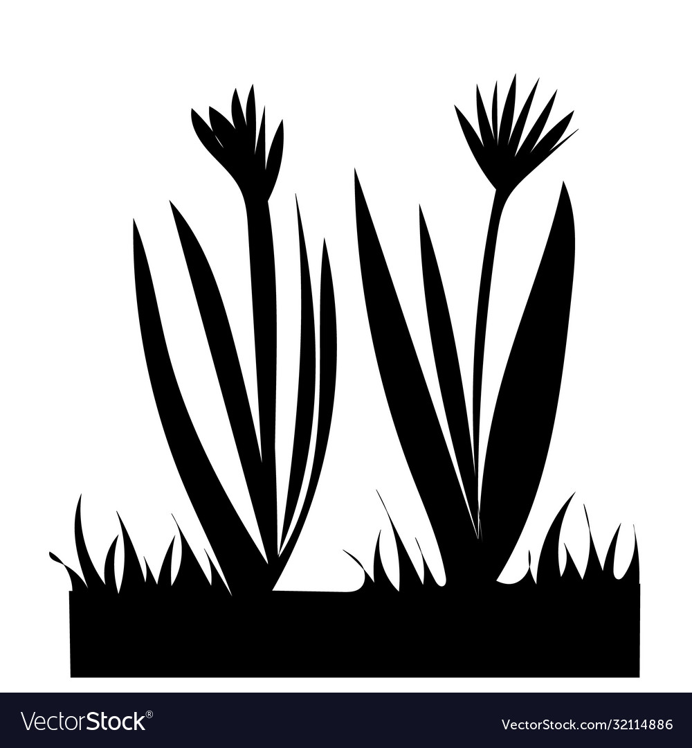 Black silhouette grass plants