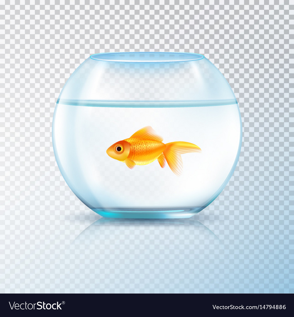 Download Golden fish bowl realistic transparent Royalty Free Vector