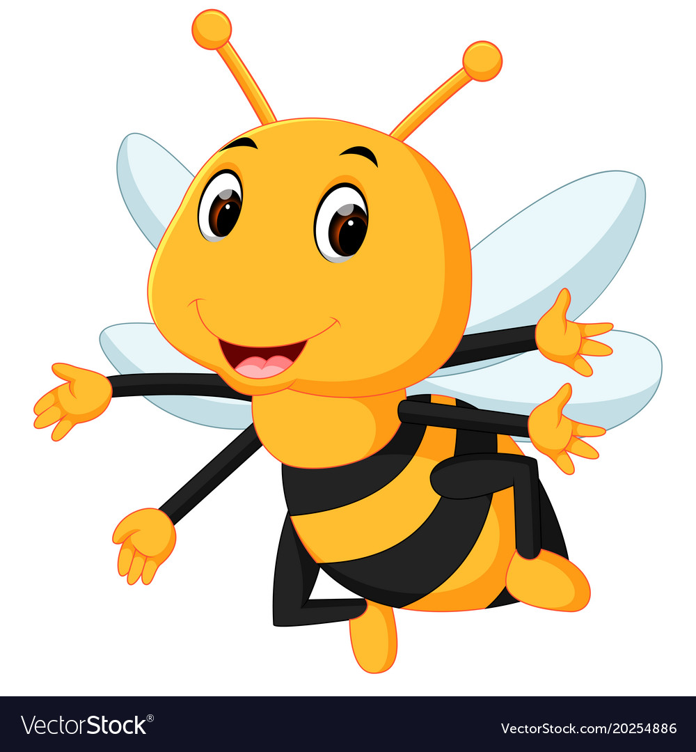 Honey bee on a white background Royalty Free Vector Image