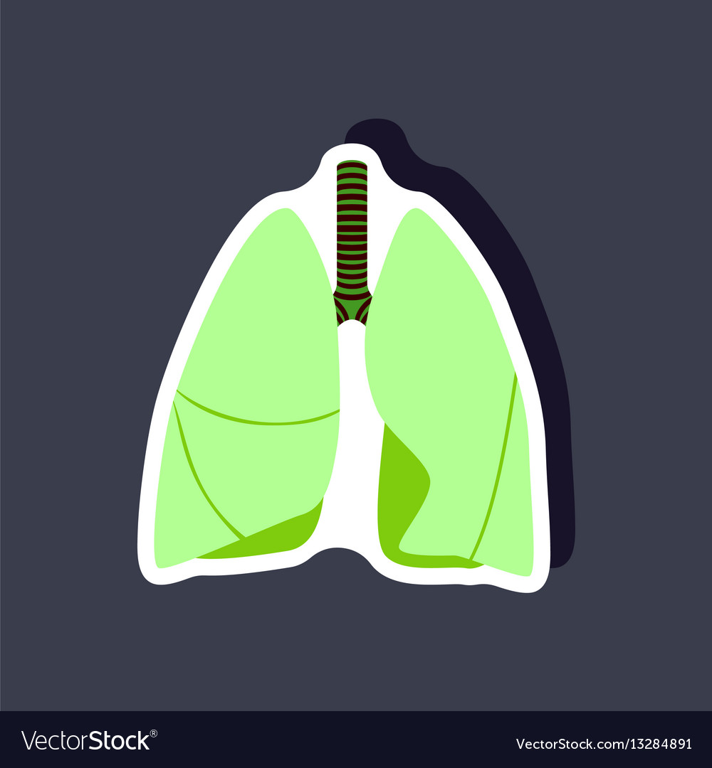 Lungs and trachea paper sticker on stylish