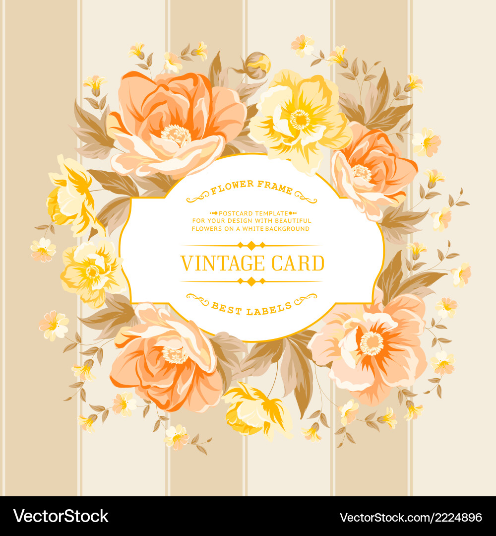 Luxurious color peony pattern Royalty Free Vector Image