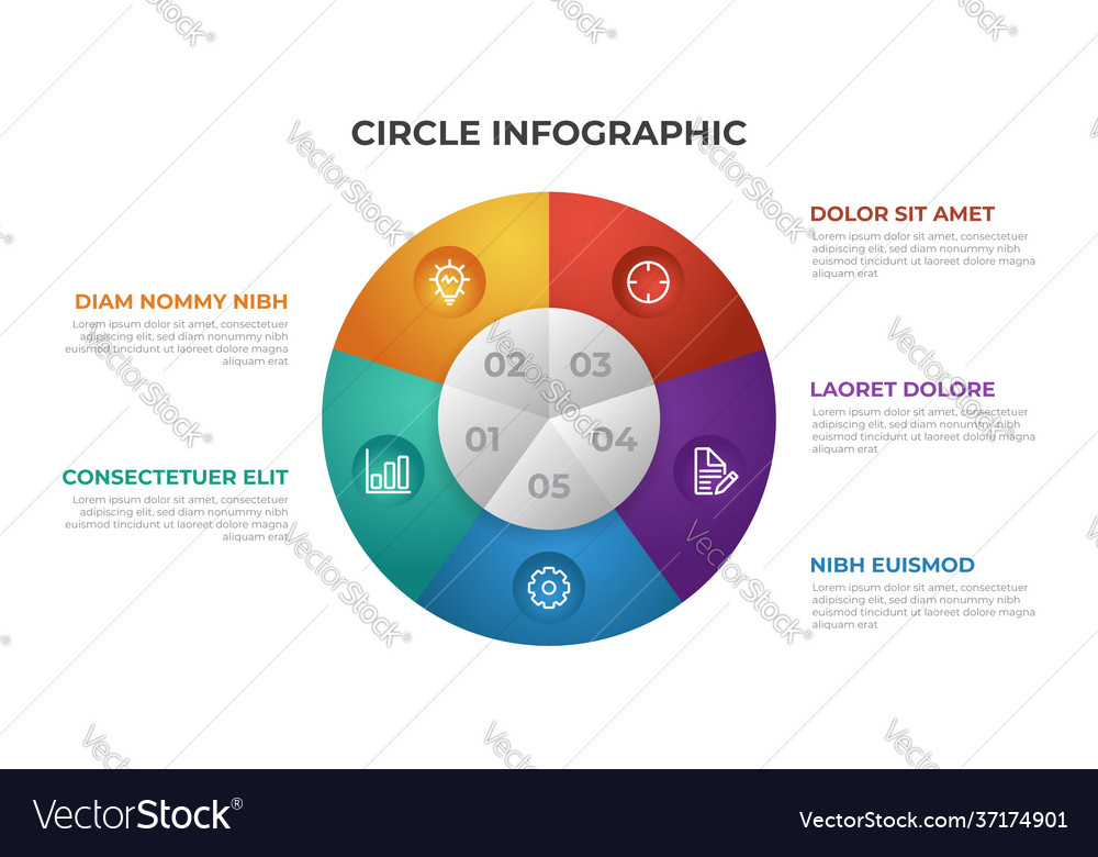 5 points infographic template with circle layout Vector Image