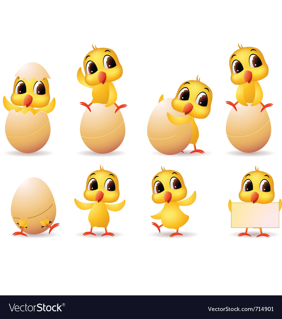 little chicken royalty free vector image vectorstock