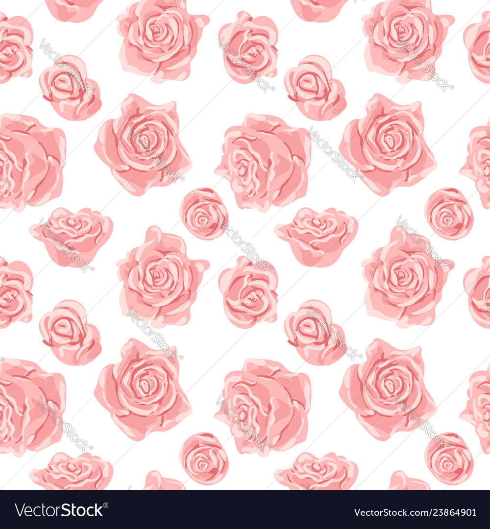 Seamless pattern with pink and white roses vector image Seamless pattern with pink and white roses