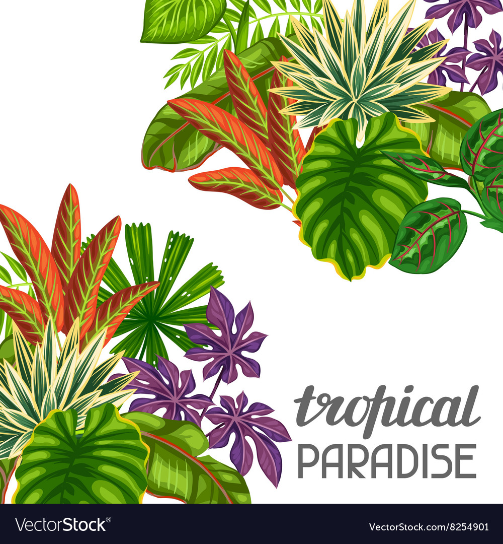 Tropical paradise card with stylized plants