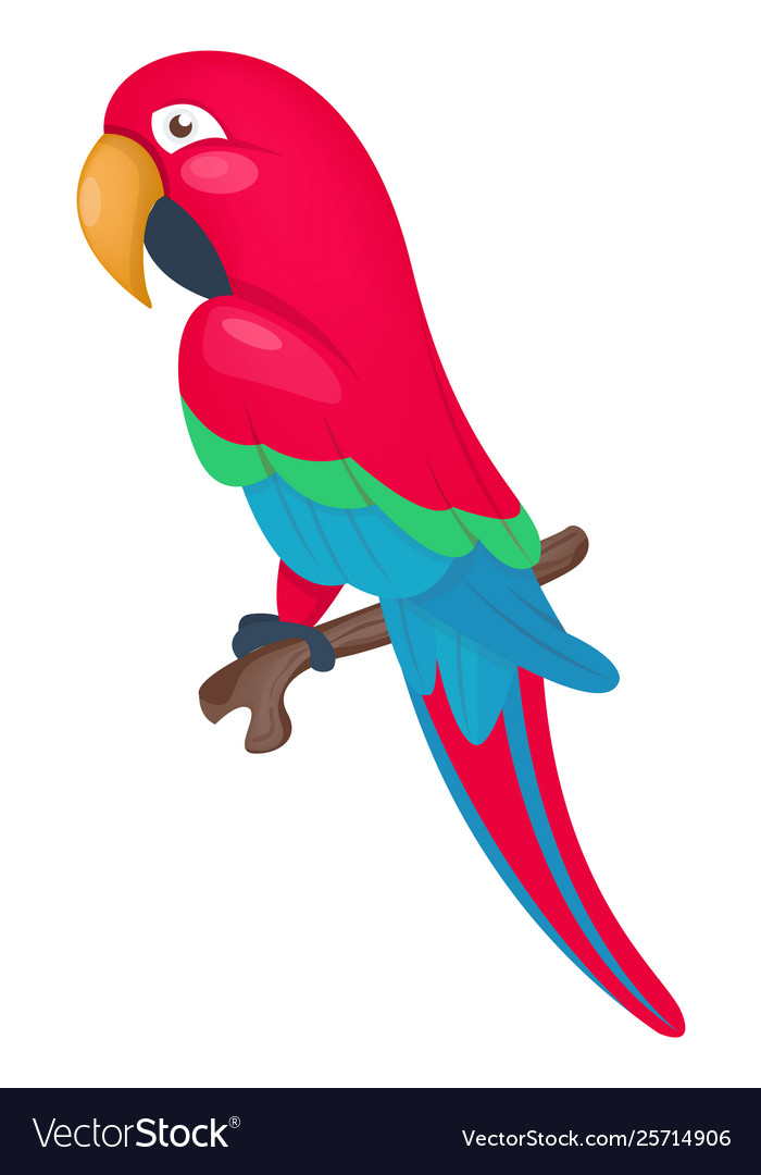 Ara parrot macaw cartoon Royalty Free Vector Image