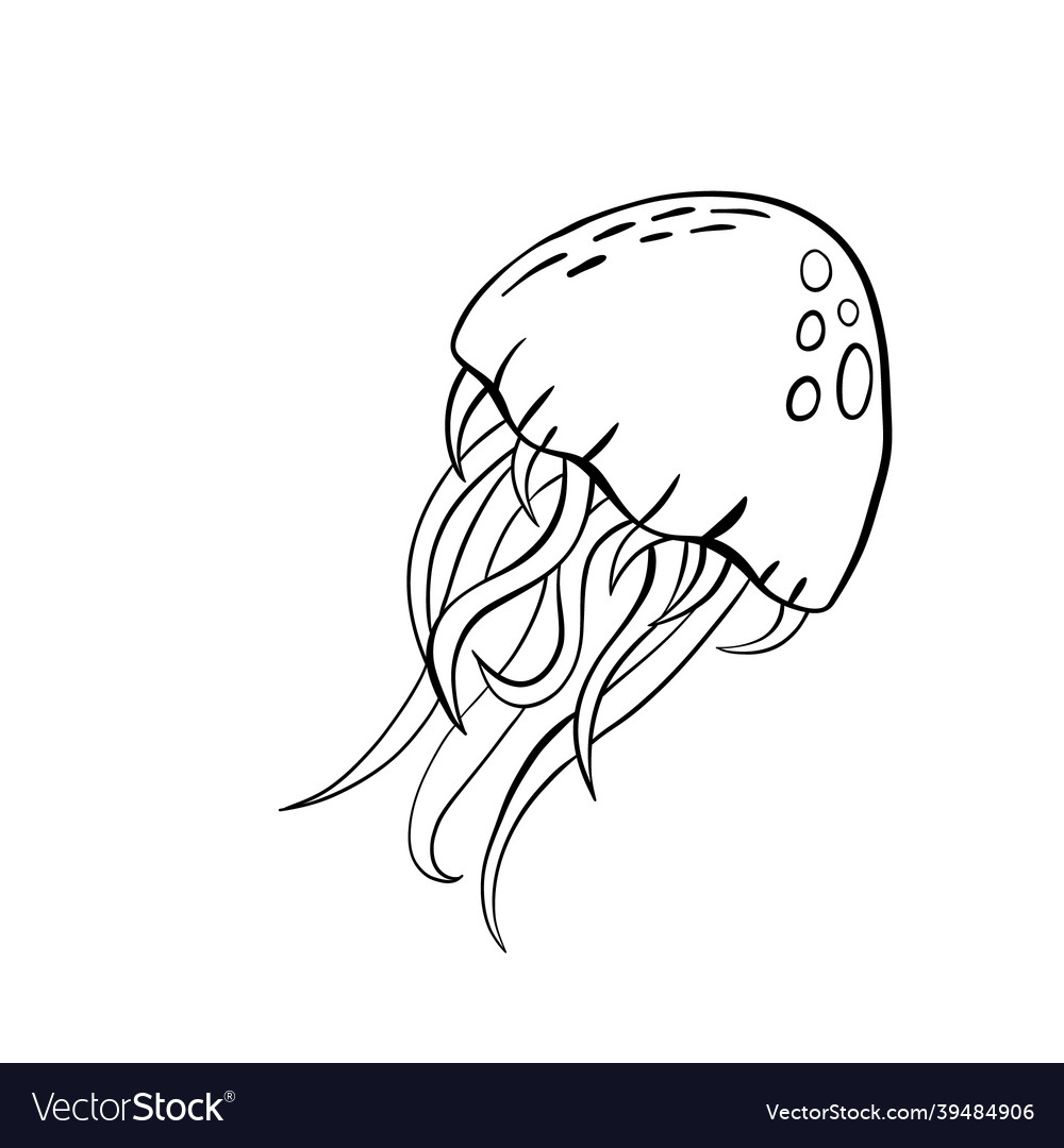 Hand drawn jellyfish doodle style icon Royalty Free Vector