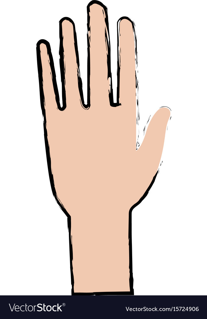 Hand man human open showing five fingers