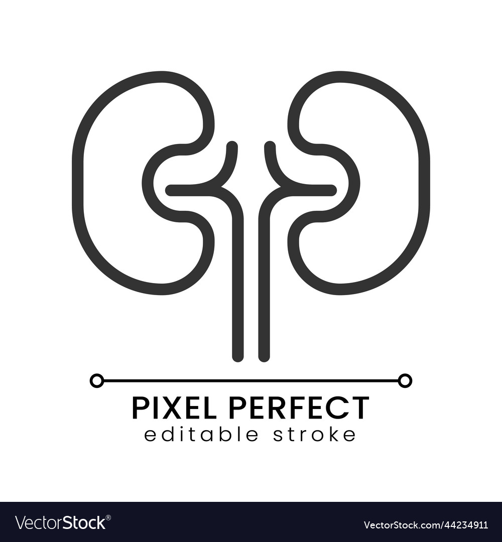 Kidneys pixel perfect linear icon