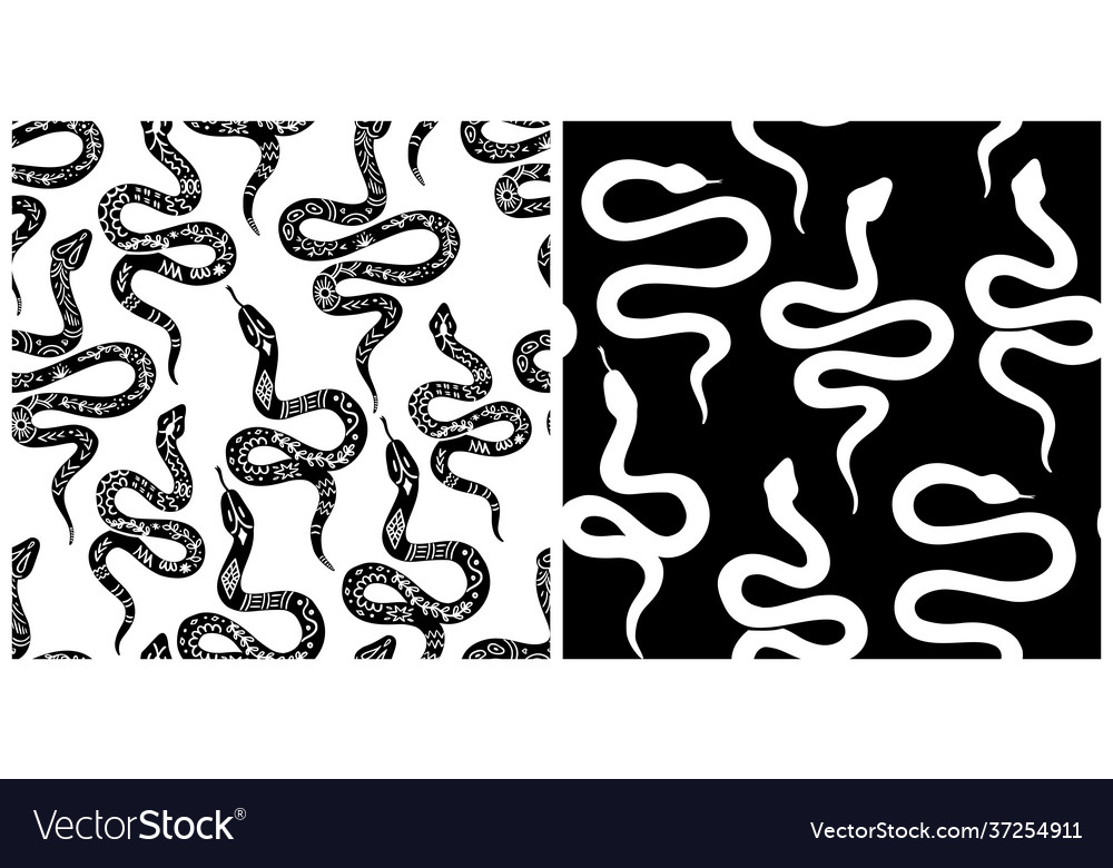 Snake pattern black and white celestial serpent