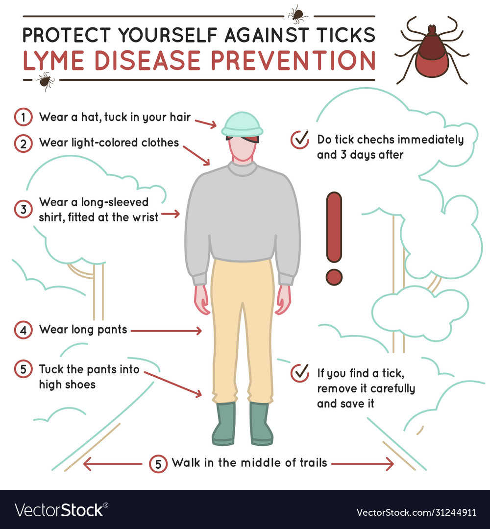 Tick disease poster