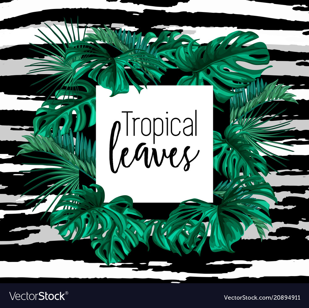 Tropical exotic leaves summer frame banner vector image Tropical exotic leaves summer frame banner