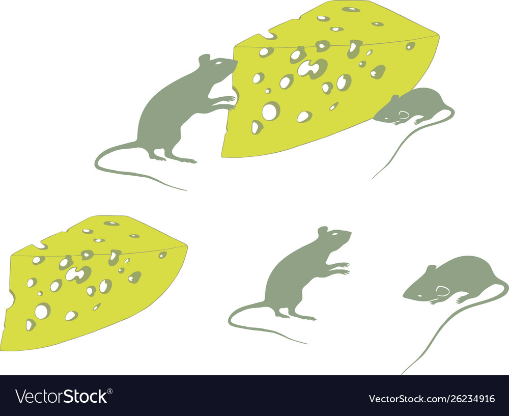 Rats and cheese on a white background Royalty Free Vector