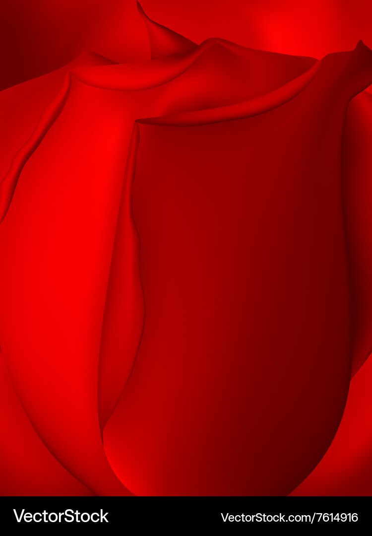 Red rose eps 10 Royalty Free Vector Image - VectorStock