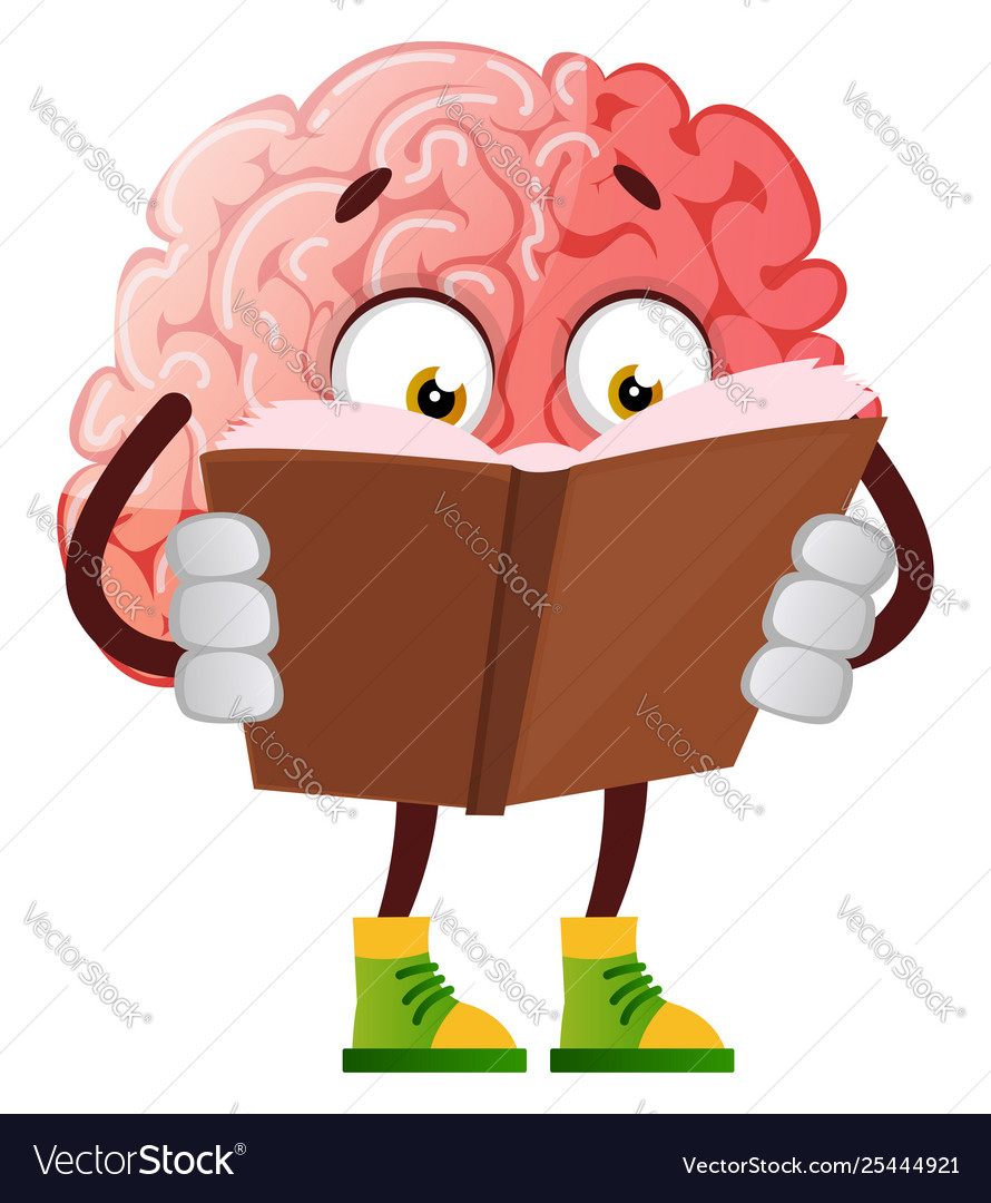 Brain is reading a book on white background Vector Image