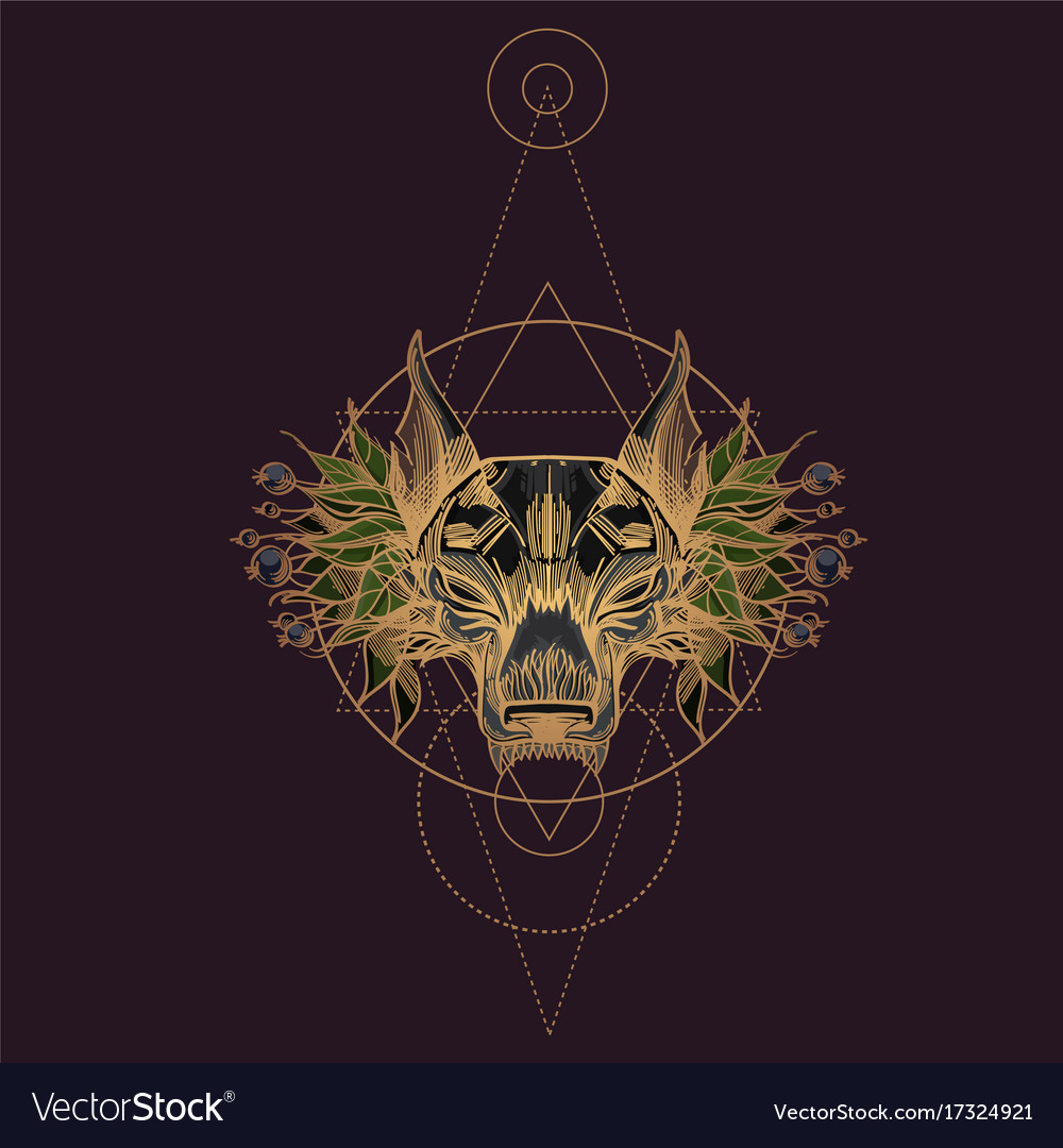 Muzzle of a wolf is an for creating sketches