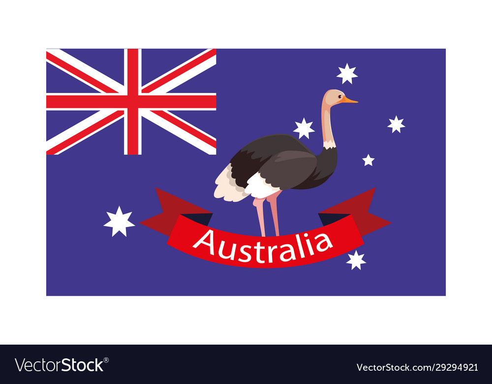 National flag australia with native animal Vector Image National flag australia with native animal Vector Image