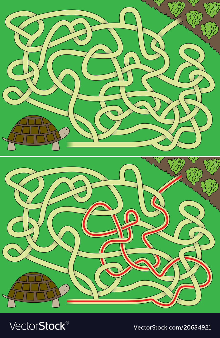 Tortoise maze