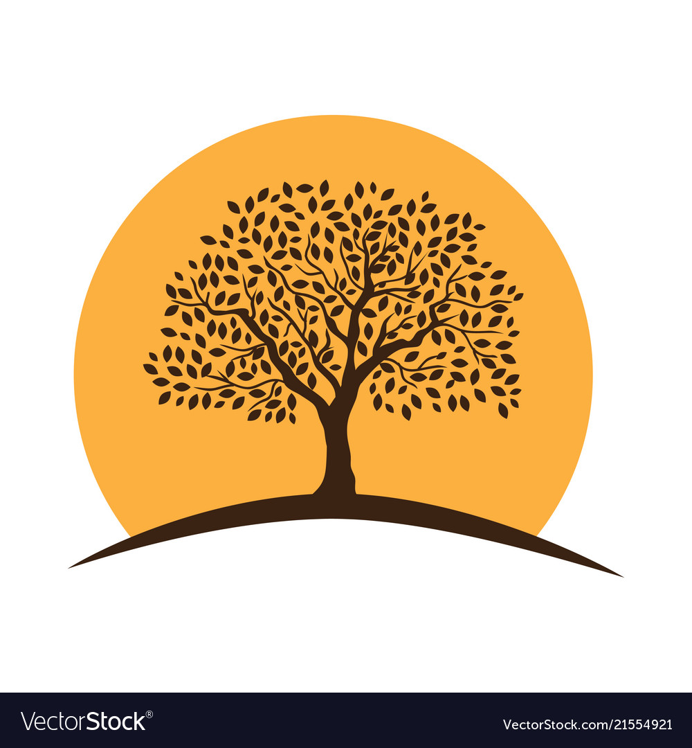 Tree Royalty Free Vector Image - VectorStock