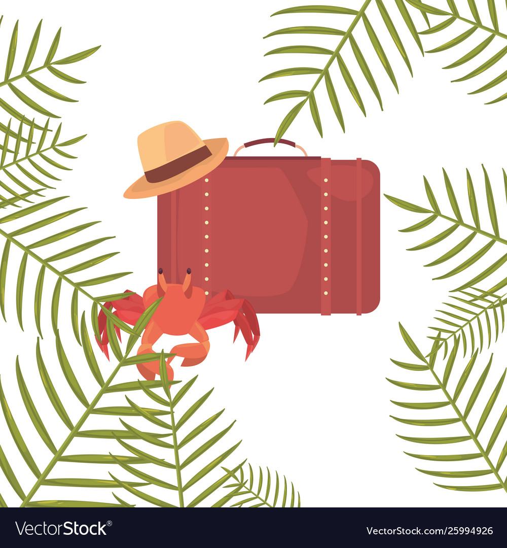 Crab suitcase and hat exotic branch summer