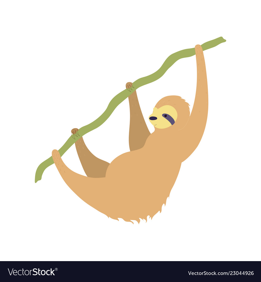 Cute character sloth