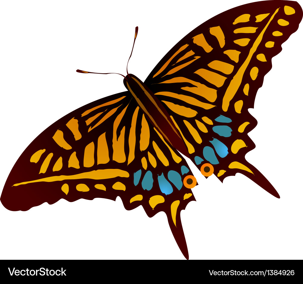 Icon butterfly Royalty Free Vector Image - VectorStock