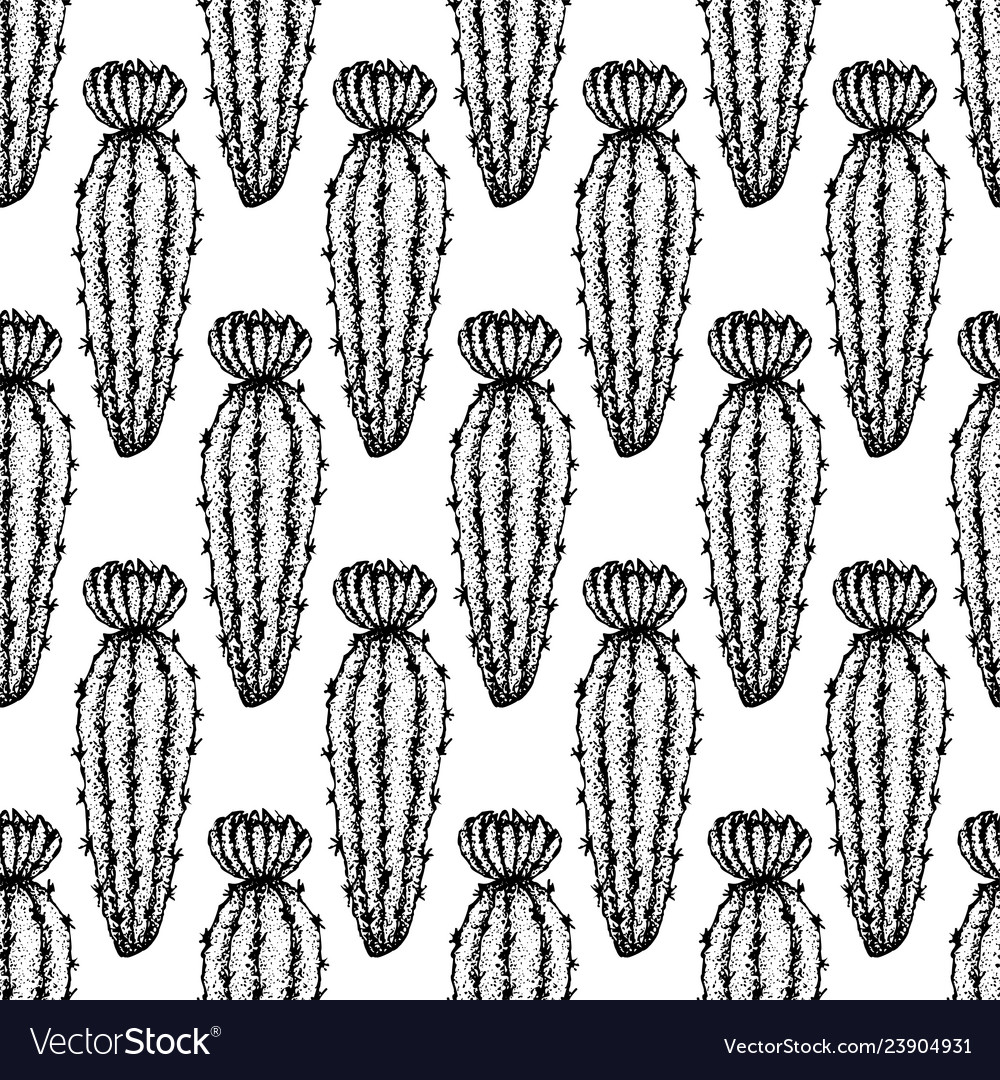 Free Vector, Pattern of several cactus