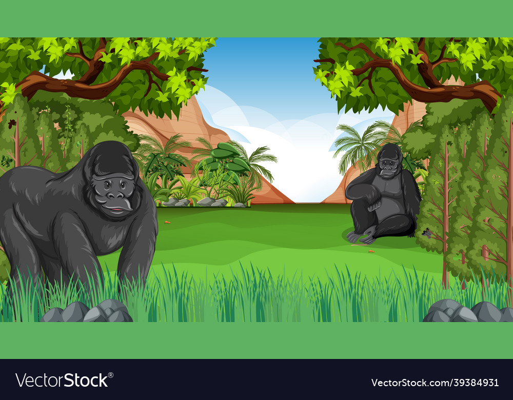 Gorilla in forest or rainforest scene with many