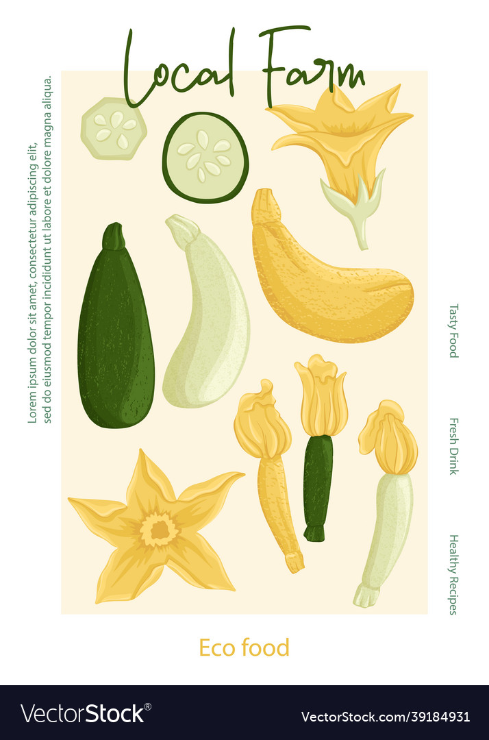 Local farm poster design veggie zucchini cover