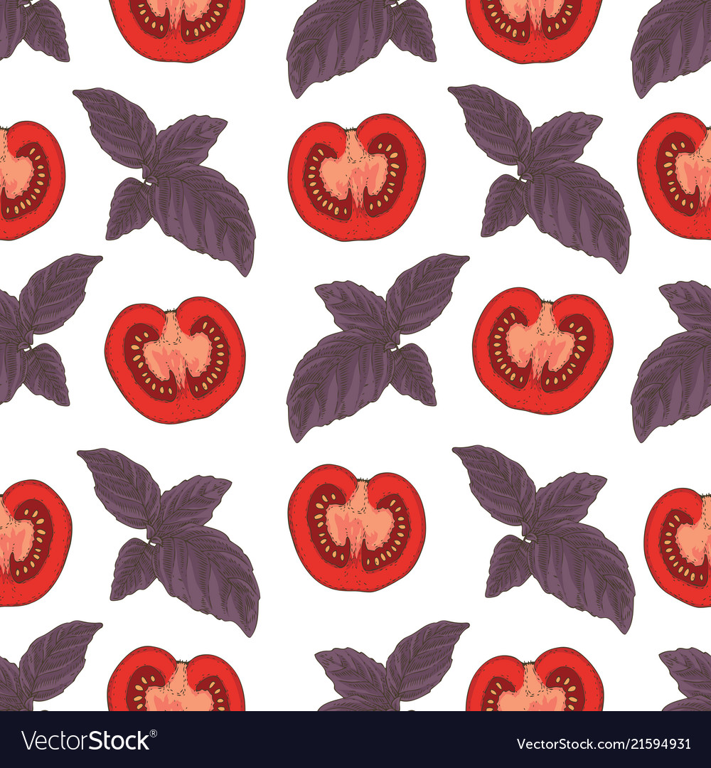 Seamless pattern tomatoes and basil vector image Seamless pattern tomatoes and basil