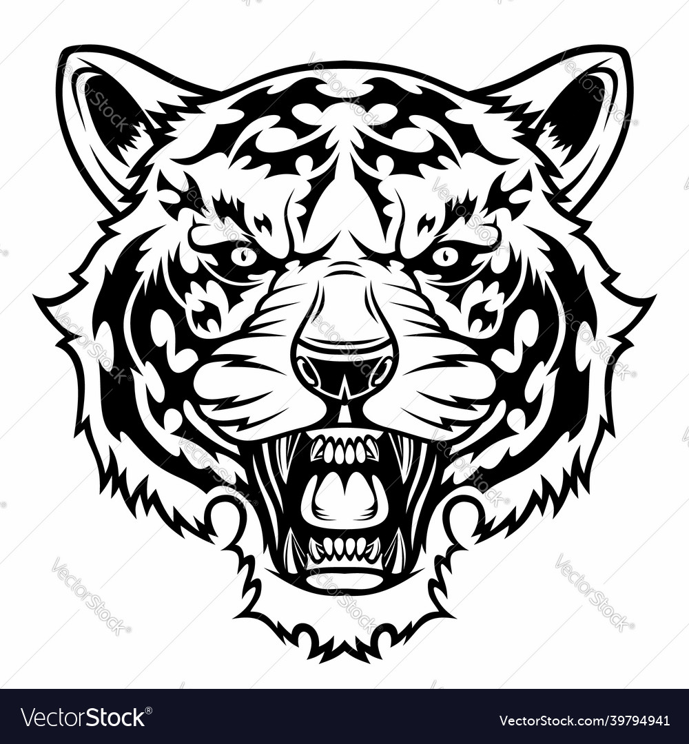 Angry tiger head Royalty Free Vector Image - VectorStock