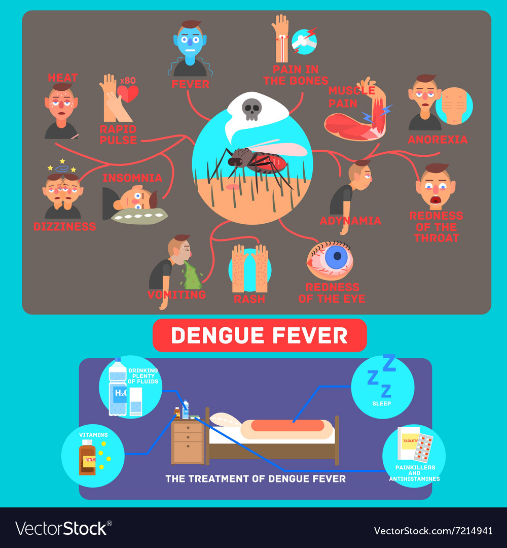 Dengue Fever Infographics Royalty Free Vector Image