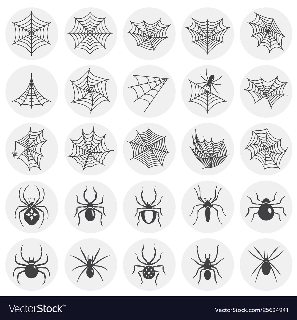 Spider related icons set on background for graphic