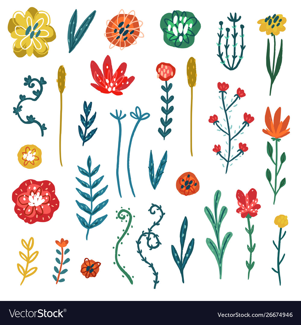 Floral collection Royalty Free Vector Image - VectorStock