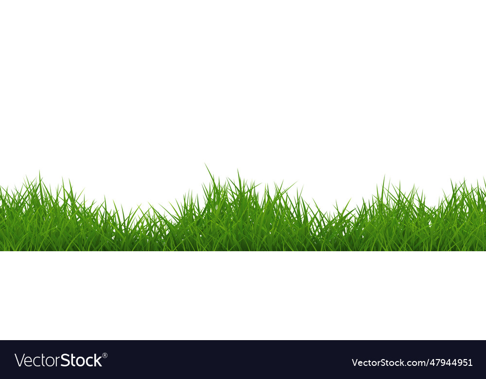 Green uneven grass wide repeat border isolated Vector Image