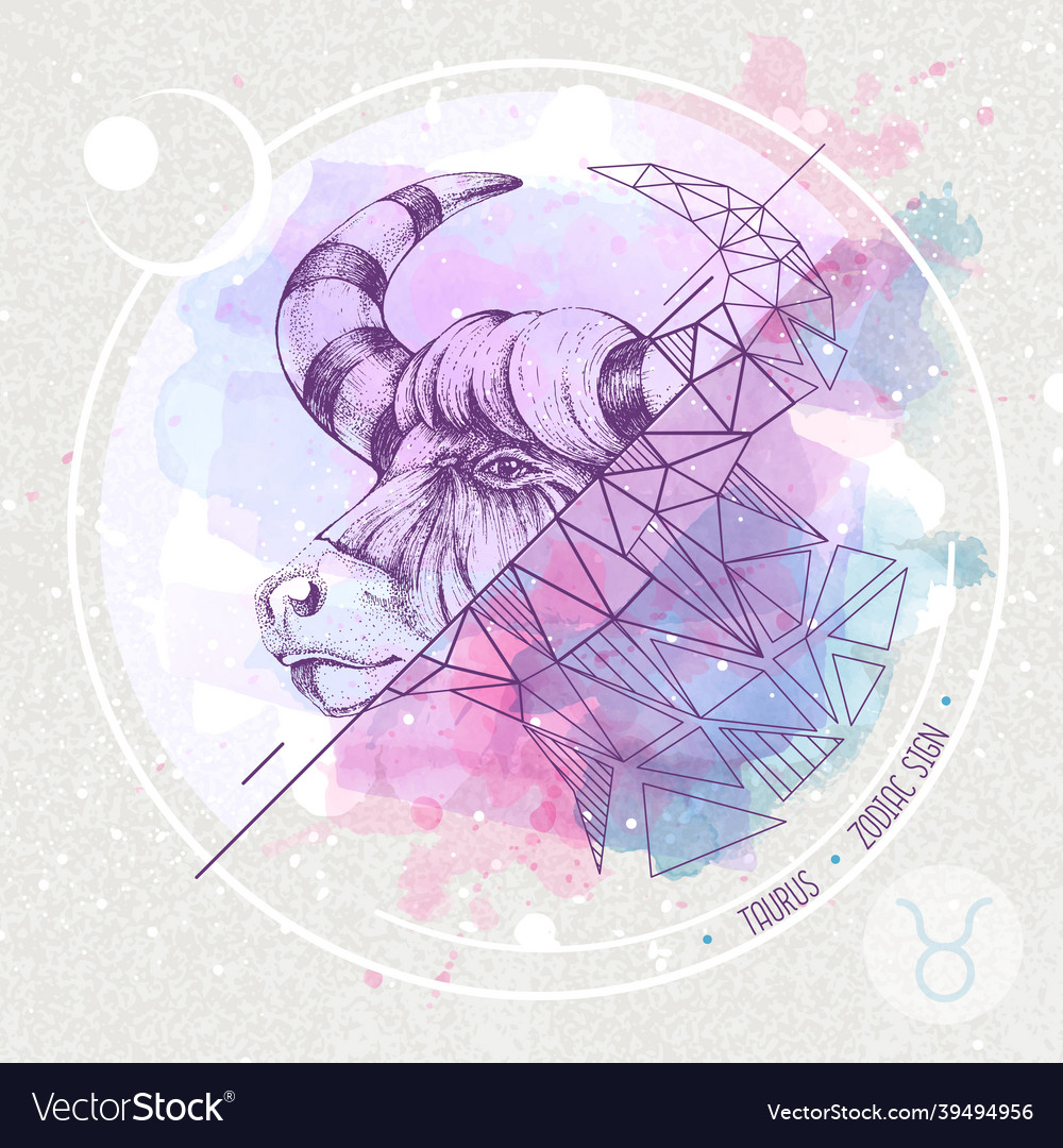 Realistic hand drawing and polygonal bull head vector image Realistic hand drawing and polygonal bull head