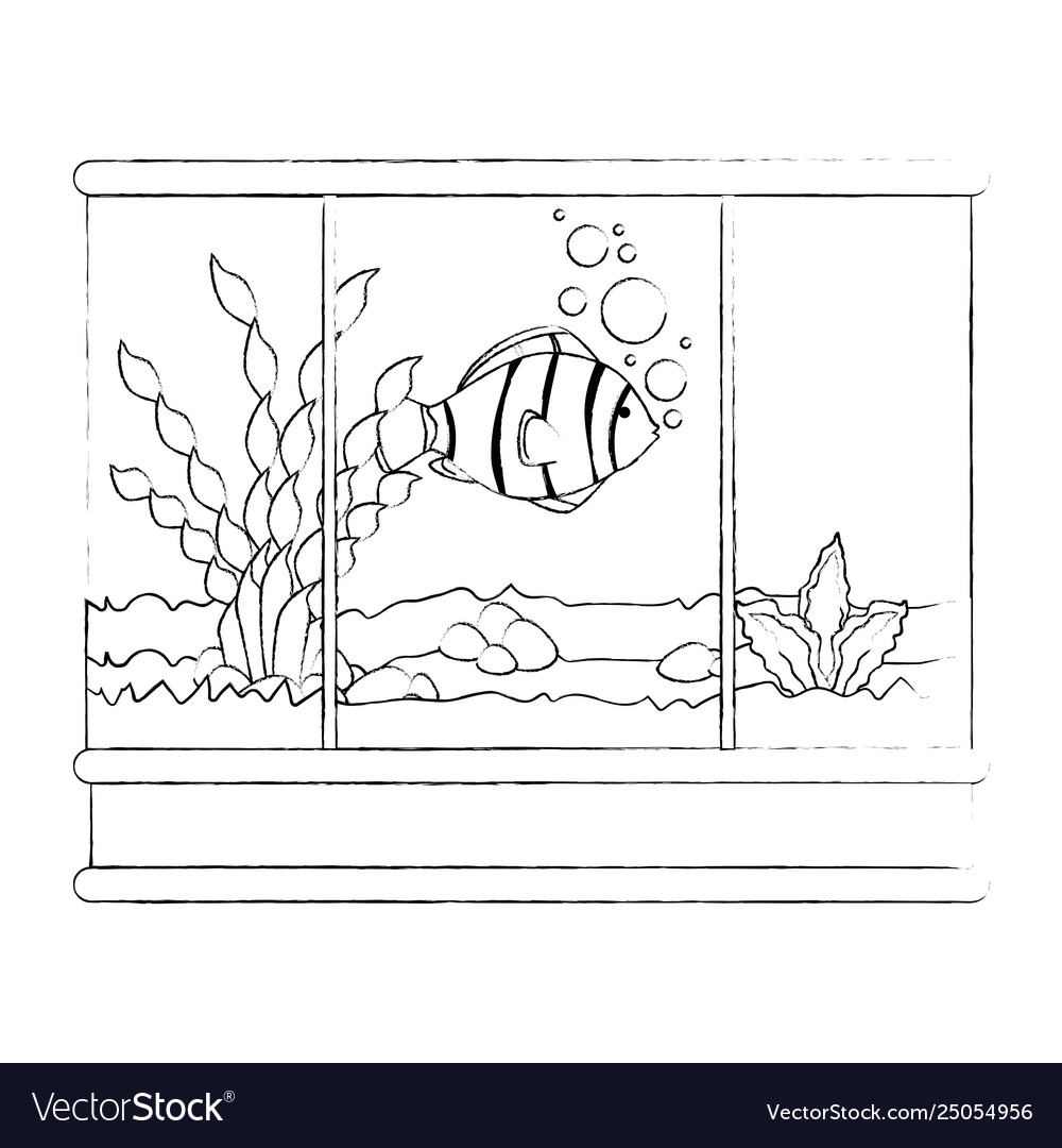 Square aquarium with colors fish Royalty Free Vector Image