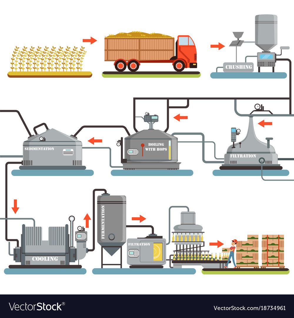 Beer brewing process production of Royalty Free Vector Image