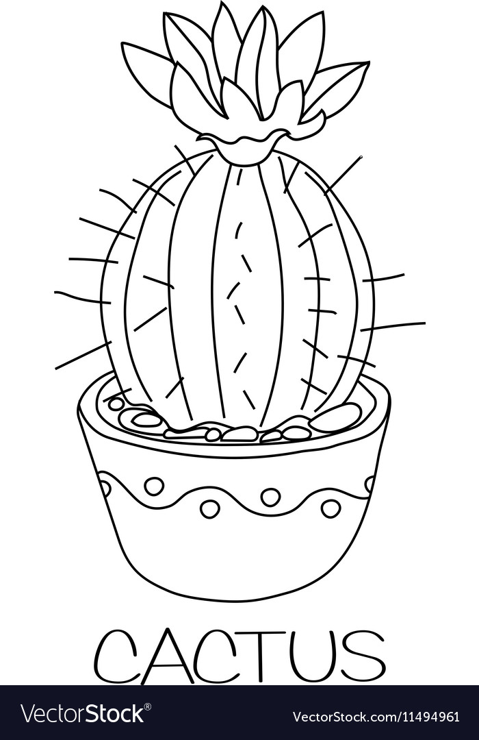 Кактус раскраска для детей распечатать Cactus in flower pot Royalty Free Vector Image
