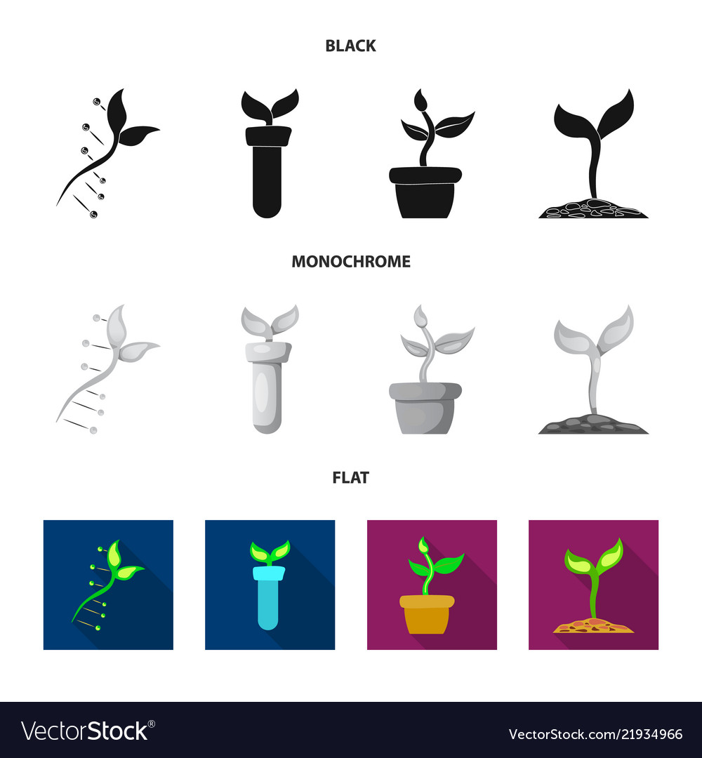 Isolated object of and sign set s