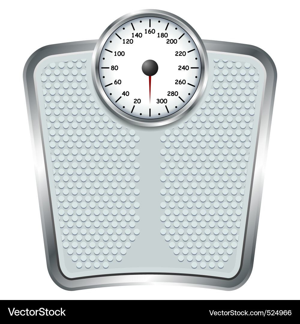 Small Scale Vector Scale Royalty Free Vector Image - VectorStock