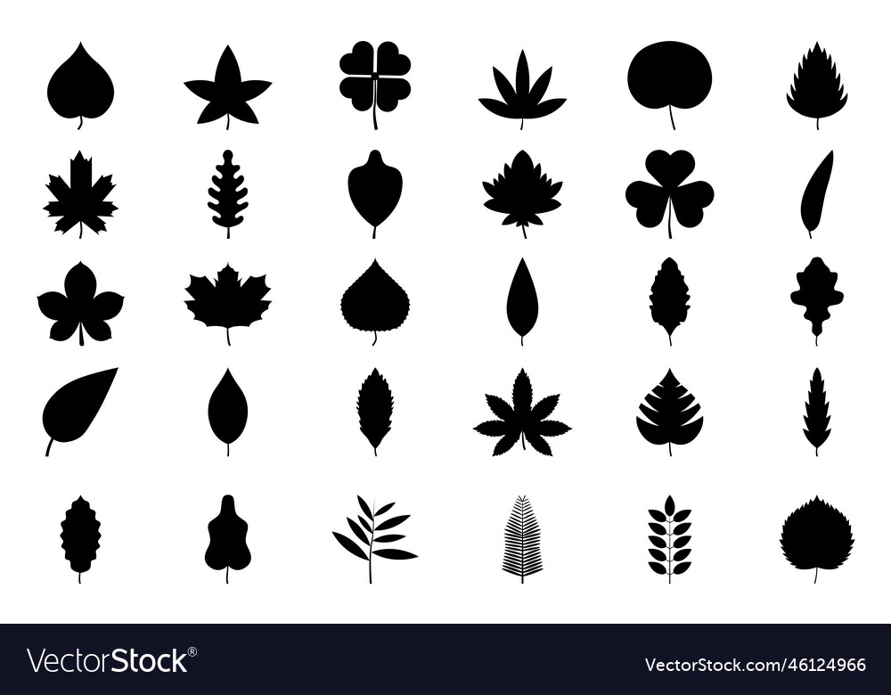 Set of black tree leaves leaves of oak aspen Vector Image