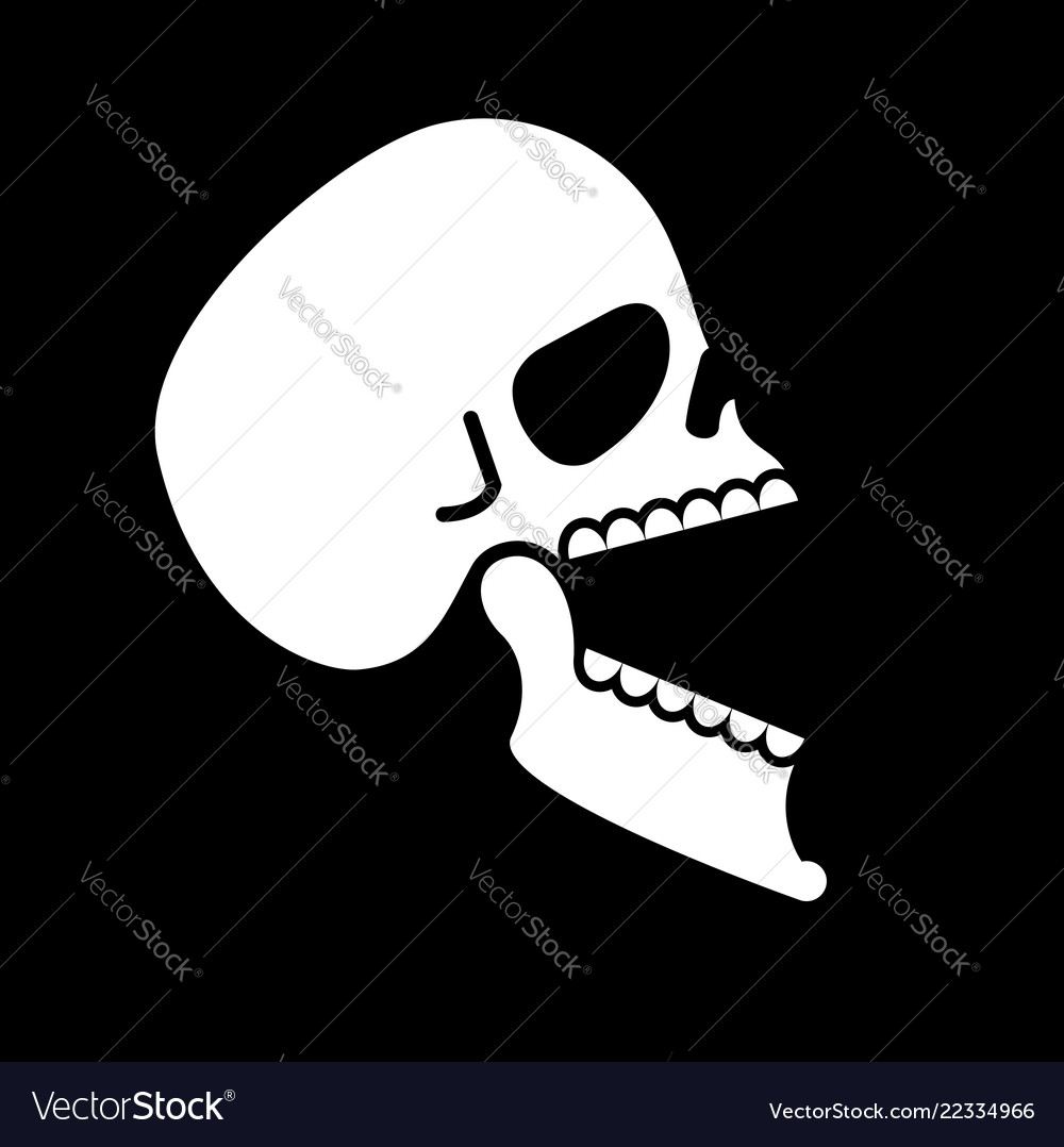 Skull open mouth isolated head of skeleton