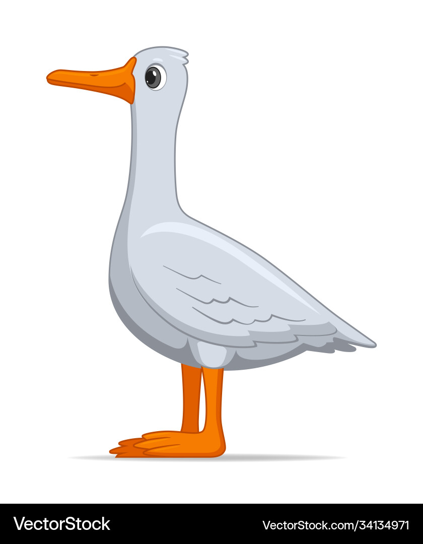 Goose bird on a white background Royalty Free Vector Image