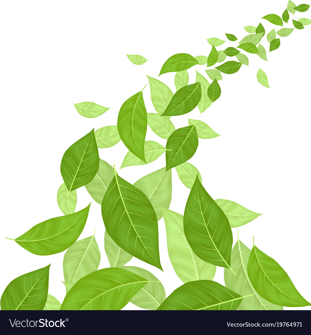 Green leaves background card