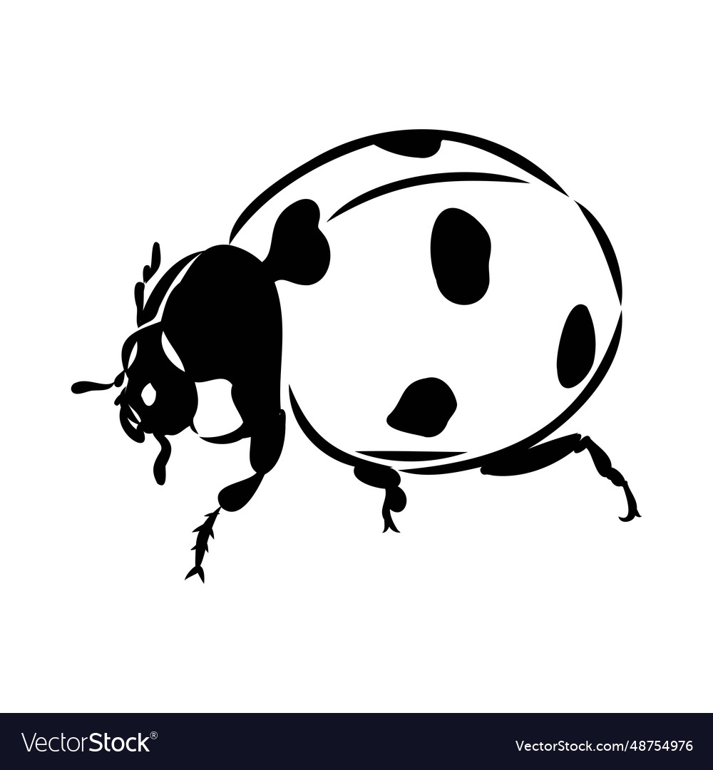 Hand drawn ink sketch of ladybug Royalty Free Vector Image