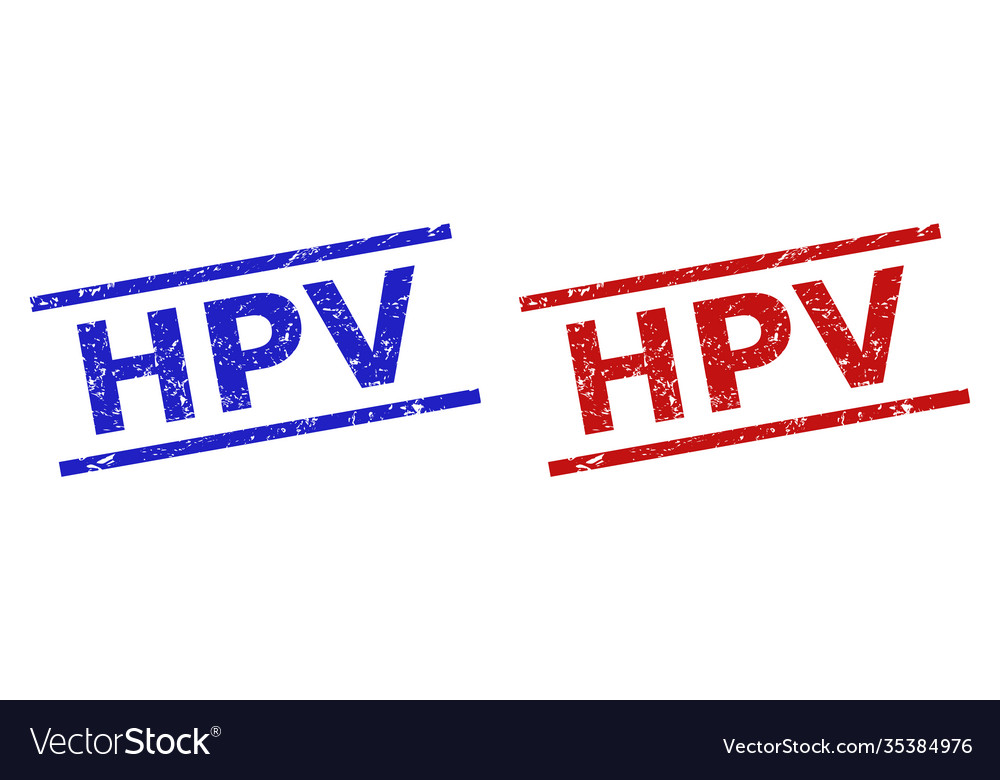Hpv seals with unclean surface and parallel lines vector image Hpv seals with unclean surface and parallel lines
