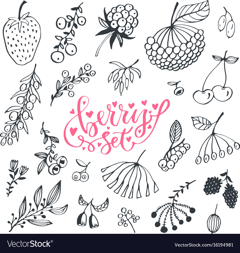 https://cdn2.vectorstock.com/i/1000x1000/49/81/berries-hand-drawn-doodle-set-isolated-berry-vector-16194981.jpg